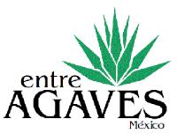 ENTRE AGAVES