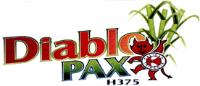 DIABLO PAX H375