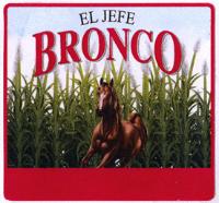 EL JEFE BRONCO