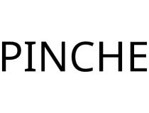 PINCHE