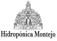 HIDROPÓNICA MONTEJO