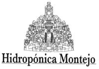 HIDROPÓNICA MONTEJO