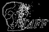 STAFF