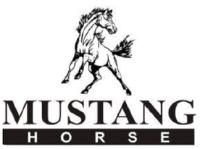 MUSTANG HORSE