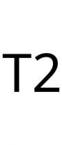 T2