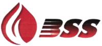 BSS