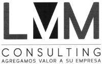 LMM CONSULTING