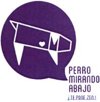 PERRO MIRANDO ABAJO !TE PONE ZEN!