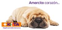 AMORCITO CORAZÓN...KOTA