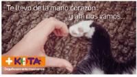 TE LLEVO DE LA MANO CORAZÓN Y AHÍ NOS VAMOS... KOTA