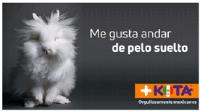 ME GUSTA ANDAR DE PELO SUELTO KOTA