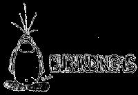 BURUNDINGAS GUILLE