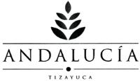 ANDALUCÍA TIZAYUCA