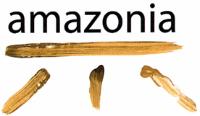 AMAZONIA
