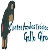 MONTES AZULES TRÓPICO GALLO GIRO