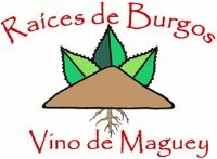RAICES DE BURGOS