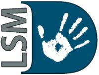 DICCIONARIO LSM