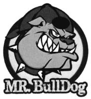 MR BULLDOG