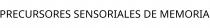 PRECURSORES SENSORIALES DE MEMORIA