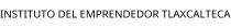 INSTITUTO DEL EMPRENDEDOR TLAXCALTECA