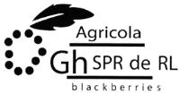 AGRICOLA GH