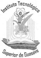 INSTITUTO TECNOLÓGICO SUPERIOR DE GUASAVE