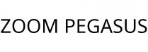 ZOOM PEGASUS