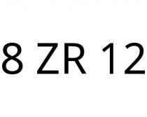 8 ZR 12