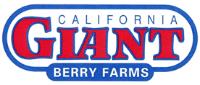 CALIFORNIA GIANT BERRY FARMS