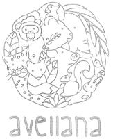 AVELLANA