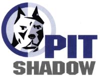 PIT SHADOW