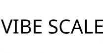 VIBE SCALE