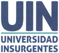UIN UNIVERSIDAD INSURGENTES