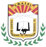 C.M.E.T.P.I. COLEGIO MEXIQUENSE DE EDUCACIÓN TÉCNICA; P.I.