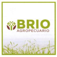 BRIO AGROPECUARIO