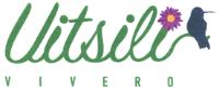 UITSILI