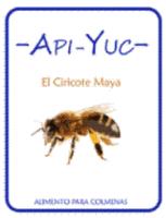 API-YUC