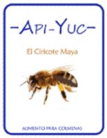 API-YUC