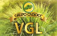 GRUPO CNDOCC VGL