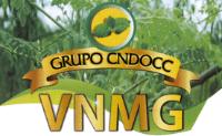 GRUPO CNDOCC VNMG