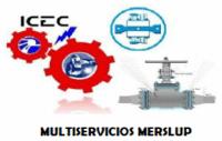 MULTISERVICIOS MERSLUP