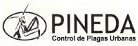 PINEDA