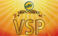 GRUPO CNDOCC VSP