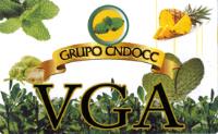 GRUPO CNDOCC VGA