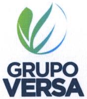 GRUPO VERSA