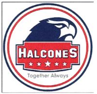 HALCONES TOGETHER ALWAYS