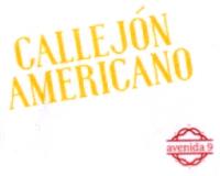 CALLEJÓN AMERICANO; AVENIDA 9