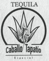 CABALLO TAPATÍO