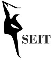 SECURITY AND STRATEGIC INTELLIGENCE CONSULTING FIRM SEIT