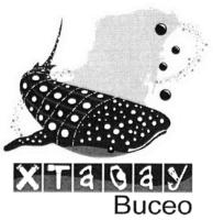 XTABAY BUCEO
